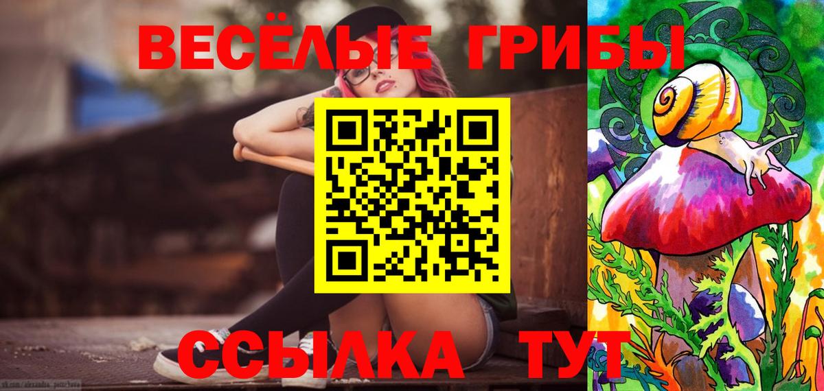 Псилоцибиновые грибы MAGIC MUSHROOMS  Вход с VPN  Сланцы  Псилоцибиновые грибы мухоморы 