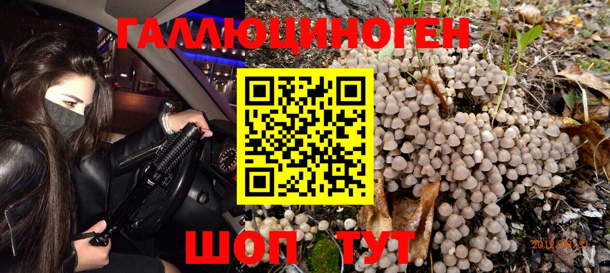 Галлюциногенные грибы мицелий Сланцы